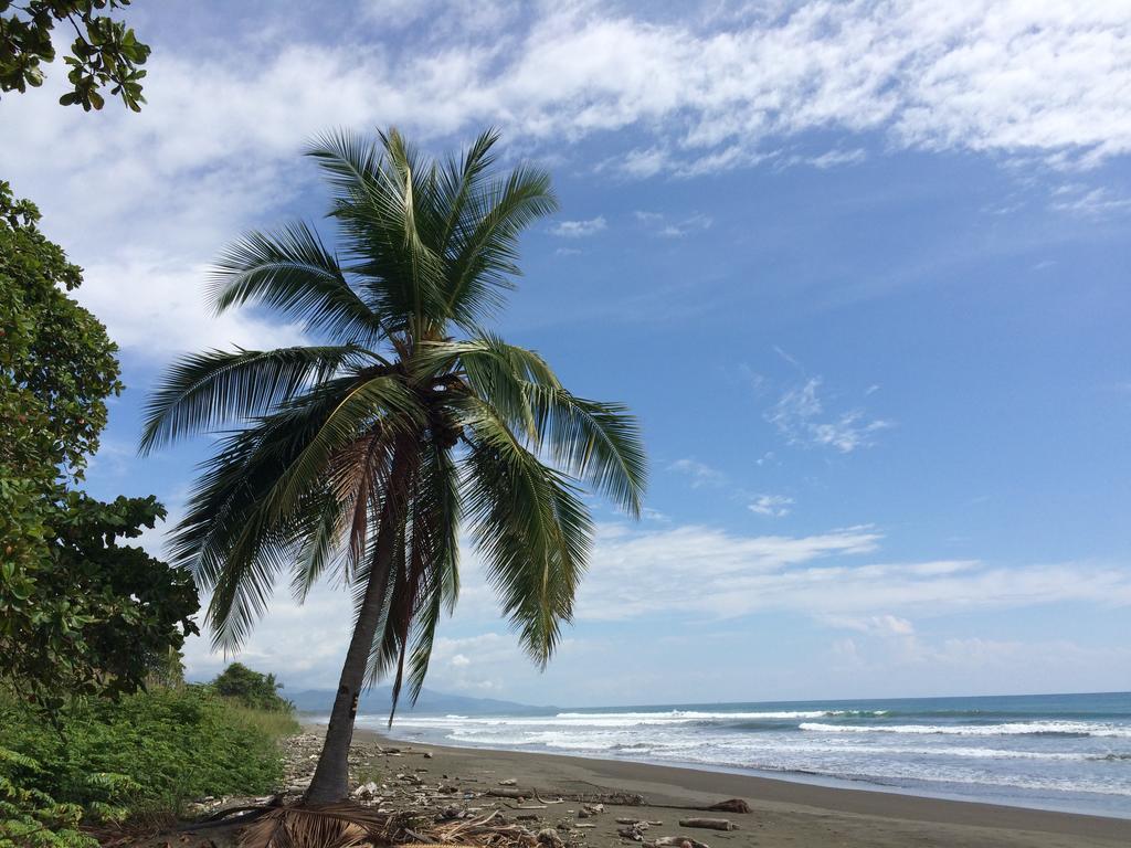 Guava Lodge Playa Matapalo ภายนอก รูปภาพ