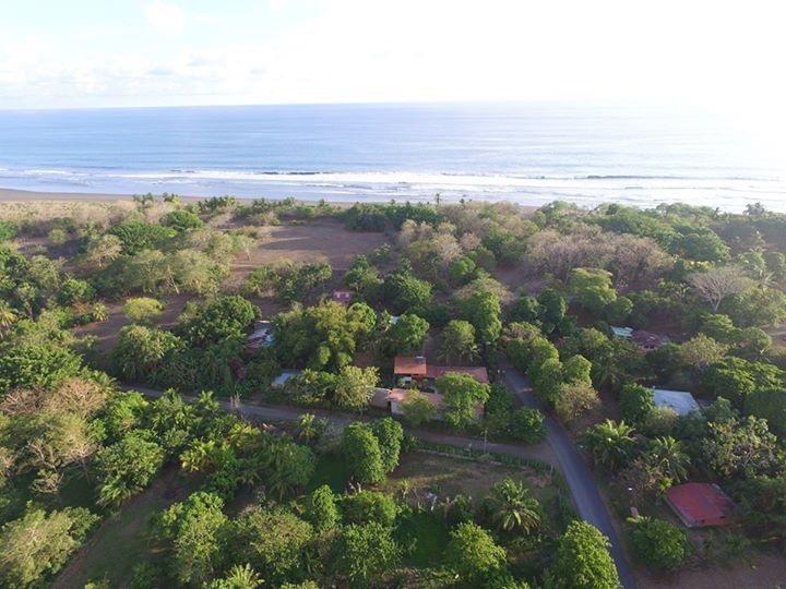 Guava Lodge Playa Matapalo ภายนอก รูปภาพ